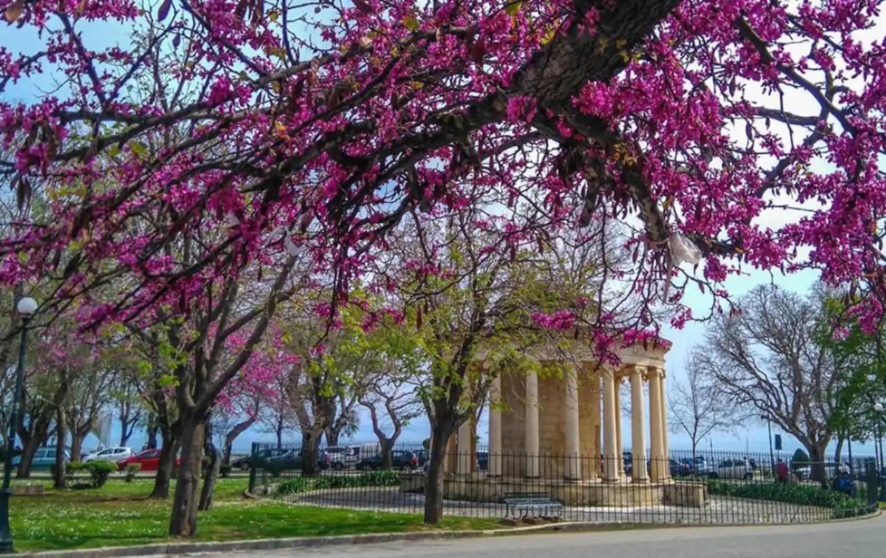 Corfu Studio In Historic Unesco City Centre Kültér fotó